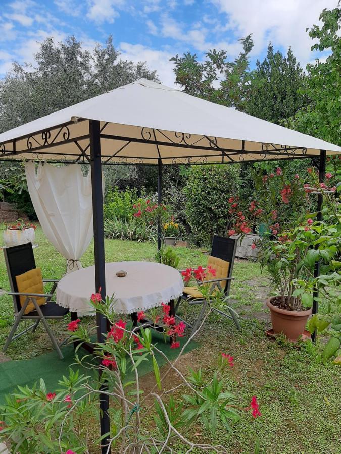 Studio With Garden Near The Sea Koper Eksteriør bilde