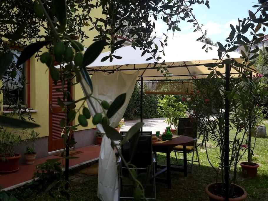 Studio With Garden Near The Sea Koper Eksteriør bilde